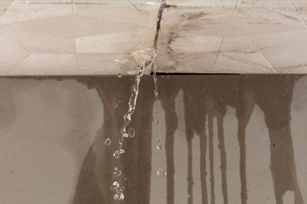 Professional Burst Pipe Cleanup technician working in Center Line, MI